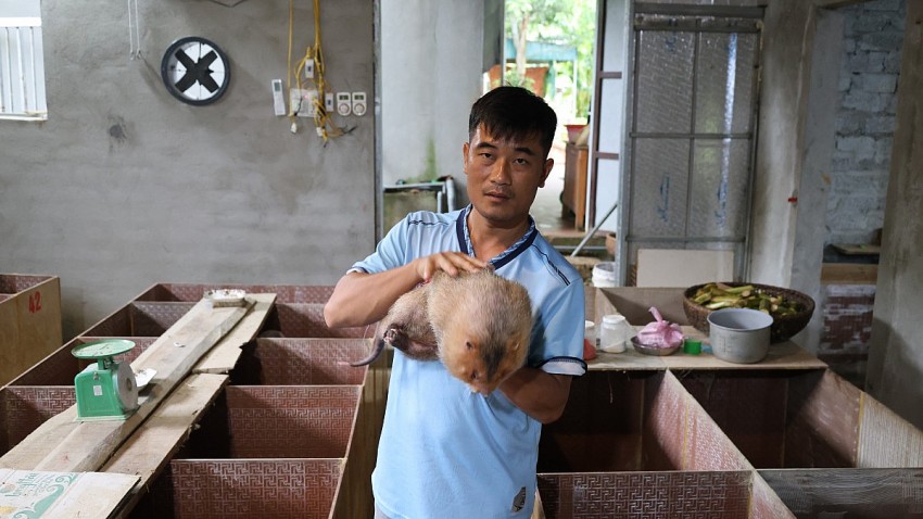 Vì nhà quá nghèo nên anh Tú buộc phải  Chàng trai Mường “gác giấc mơ đại học” để làm kinh tế