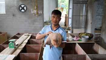 Chàng trai Mường “gác giấc mơ đại học” để làm kinh tế