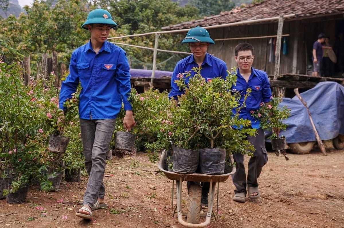 Trong suốt quá trình xây dựng và phát triển ngành Nông nghiệp và Môi trường, lực lượng đoàn viên, thanh niên luôn là đội ngũ tiên phong, xung kích trên mọi mặt trận. Ảnh: Trần Hương. Trong suốt quá trình xây dựng và phát triển ngành Nông nghiệp và Môi trường, lực lượng đoàn viên, thanh niên luôn là đội ngũ tiên phong, xung kích trên mọi mặt trận. Ảnh: Trần Hương.