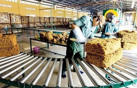 Đồng Nai: Quyết định thanh tra về bảo vệ môi trường tại các cơ sở chế biến mủ cao su Đồng Nai: Quyết định thanh tra về bảo vệ môi trường tại các cơ sở chế biến mủ cao su