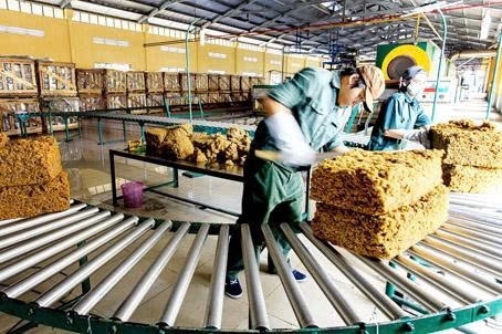 Đồng Nai: Quyết định thanh tra về bảo vệ môi trường tại các cơ sở chế biến mủ cao su Đồng Nai: Quyết định thanh tra về bảo vệ môi trường tại các cơ sở chế biến mủ cao su