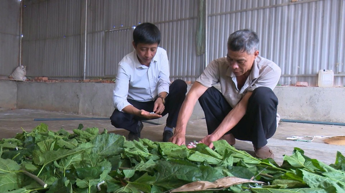 Lâm Đồng: Kinh tế nông nghiệp xã Quảng Tân phát triển theo hướng hàng hóa, hiện đại và bền vững Lâm Đồng: Kinh tế nông nghiệp xã Quảng Tân phát triển theo hướng hàng hóa, hiện đại và bền vững