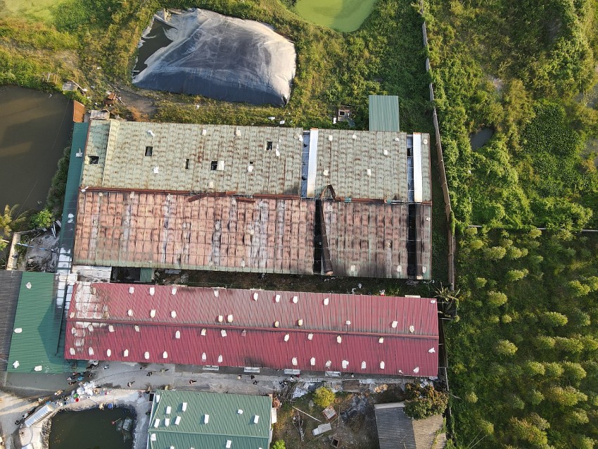 Khu vực trang trại lợn bị cháy. Khu vực trang trại lợn bị cháy.