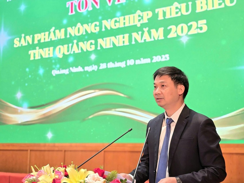 Phó Chủ tịch UBND tỉnh phát biểu tại hội nghị. Phó Chủ tịch UBND tỉnh phát biểu tại hội nghị.