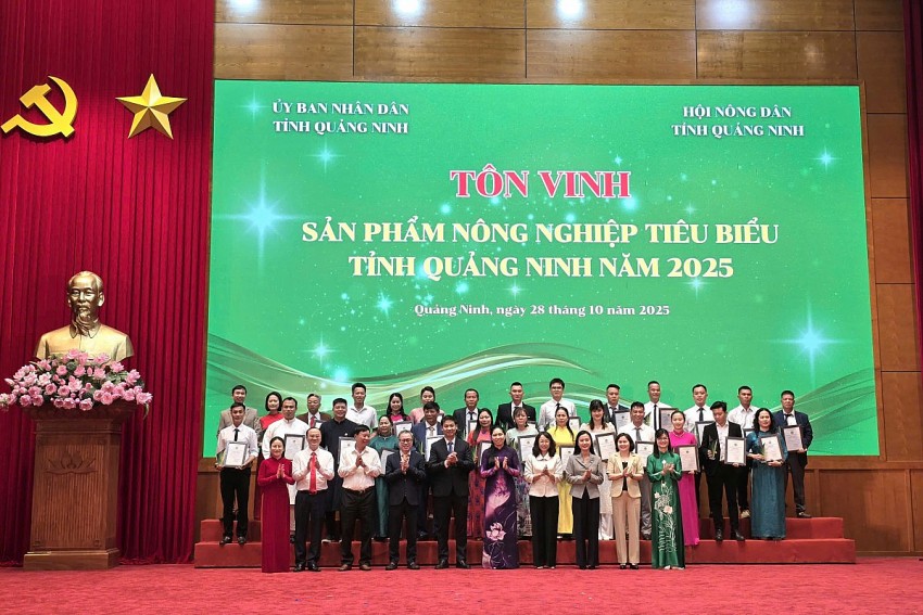 Đại diện cơ sở sản xuất 27 sản phẩm nông nghiệp tiêu biểu tỉnh Quảng Ninh năm 2025 được tôn vinh tại hội nghị. Đại diện cơ sở sản xuất 27 sản phẩm nông nghiệp tiêu biểu tỉnh Quảng Ninh năm 2025 được tôn vinh tại hội nghị.
