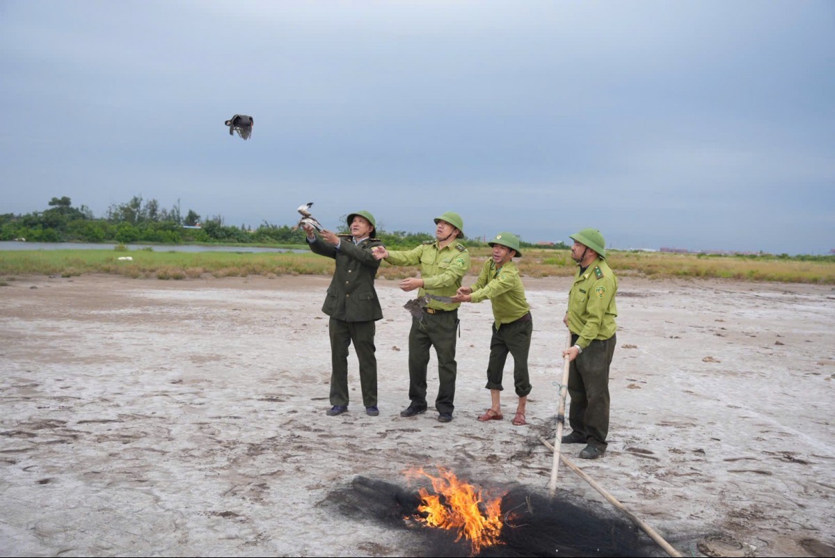Nâng cao hiệu quả bảo tồn đa dạng sinh học tại Đặc khu Cát Hải