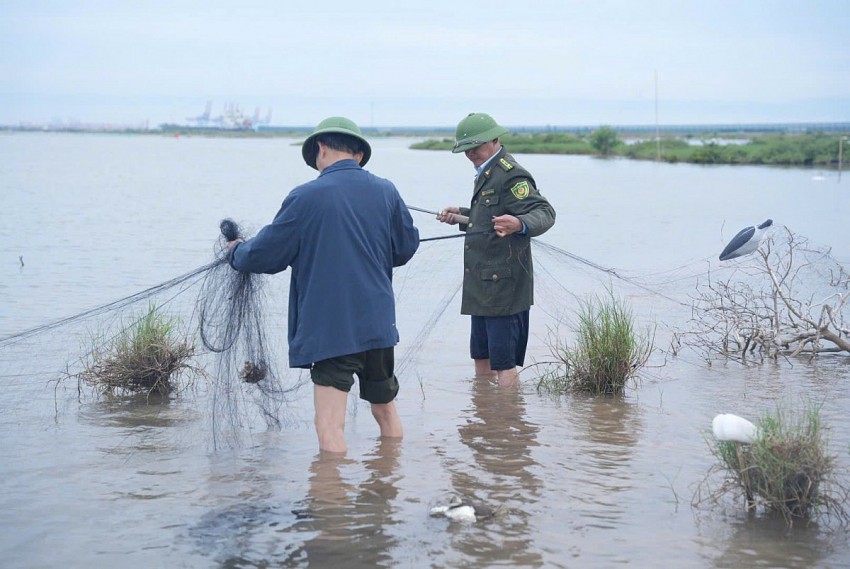 Nâng cao hiệu quả bảo tồn đa dạng sinh học tại Đặc khu Cát Hải Nâng cao hiệu quả bảo tồn đa dạng sinh học tại Đặc khu Cát Hải
