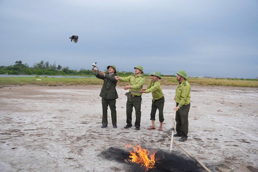 Nâng cao hiệu quả bảo tồn đa dạng sinh học tại Đặc khu Cát Hải Nâng cao hiệu quả bảo tồn đa dạng sinh học tại Đặc khu Cát Hải