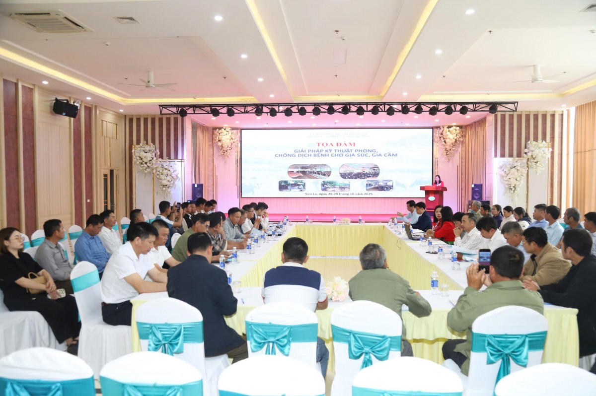 Sơn La: Bàn giải pháp kỹ thuật phòng, chống dịch bệnh cho gia súc, gia cầm Sơn La: Bàn giải pháp kỹ thuật phòng, chống dịch bệnh cho gia súc, gia cầm