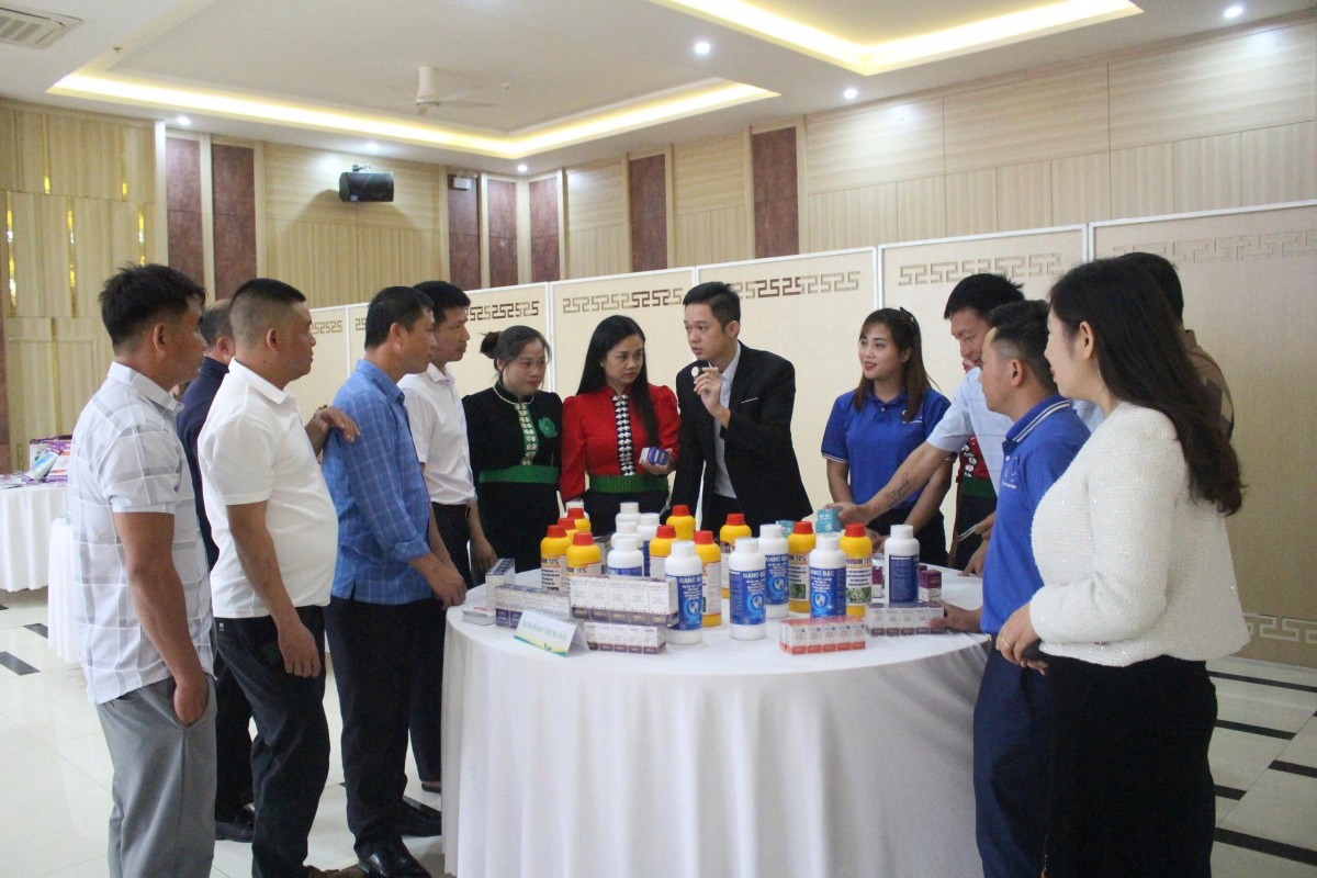 Sơn La: Bàn giải pháp kỹ thuật phòng, chống dịch bệnh cho gia súc, gia cầm Sơn La: Bàn giải pháp kỹ thuật phòng, chống dịch bệnh cho gia súc, gia cầm