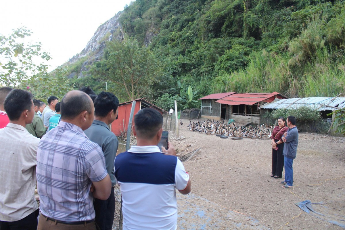 Sơn La: Bàn giải pháp kỹ thuật phòng, chống dịch bệnh cho gia súc, gia cầm Sơn La: Bàn giải pháp kỹ thuật phòng, chống dịch bệnh cho gia súc, gia cầm