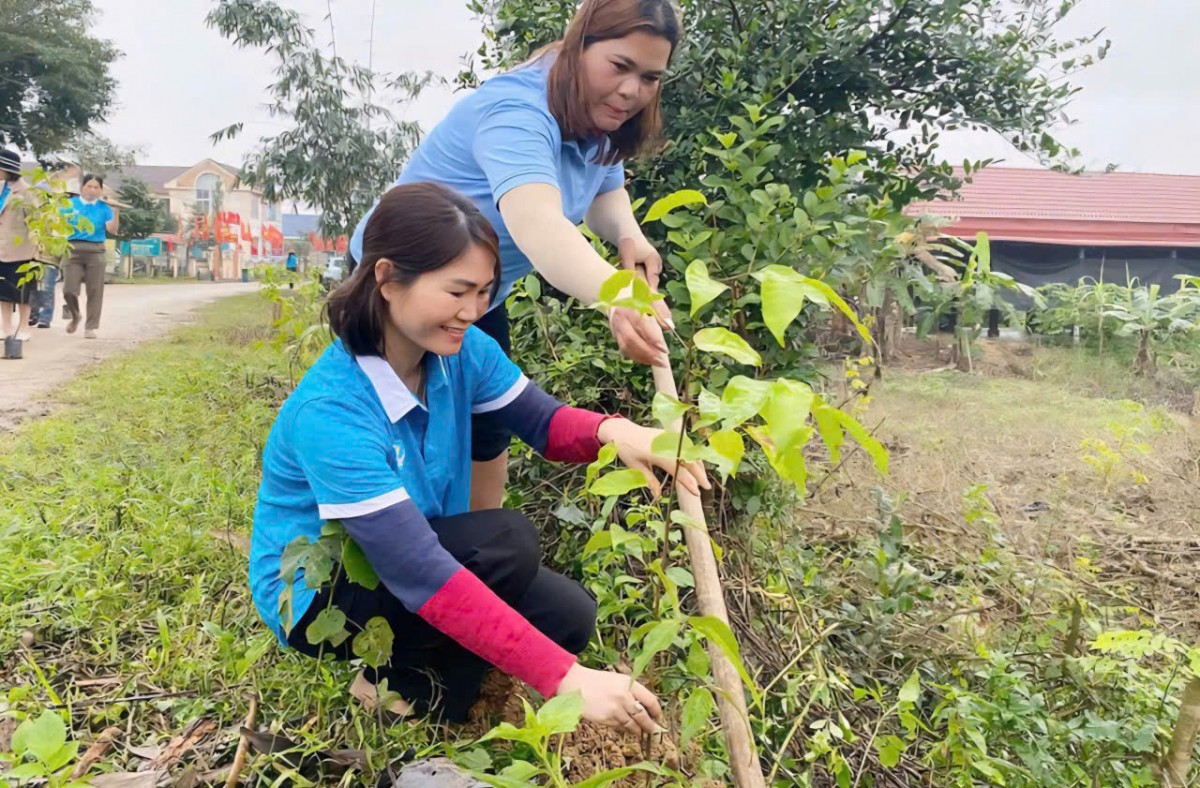 Sức bật nông nghiệp từ phong trào “Đắk Lắk chung sức xây dựng nông thôn mới”