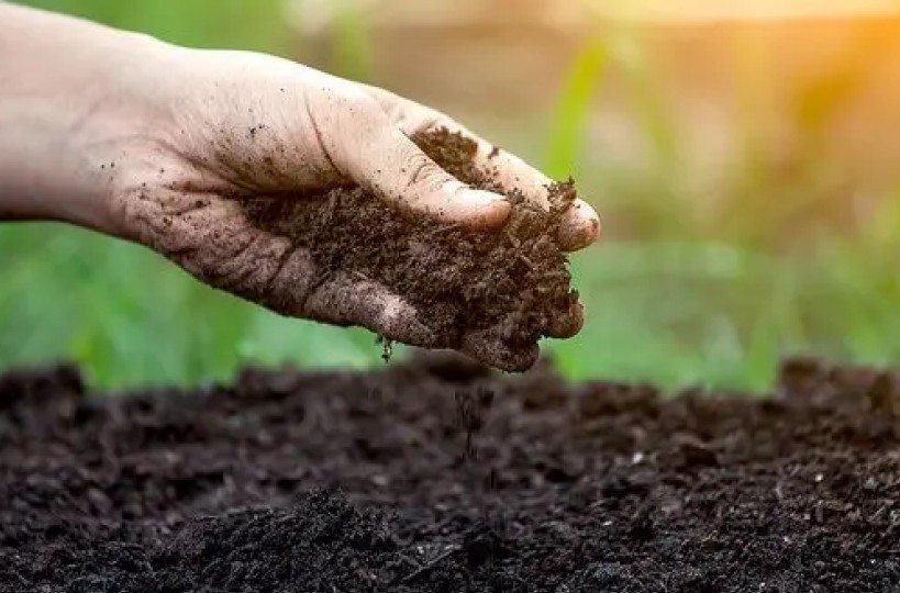 Hiến kế giúp nông dân bảo vệ sức khỏe đất trồng lúa, hướng đến sản xuất bền vững