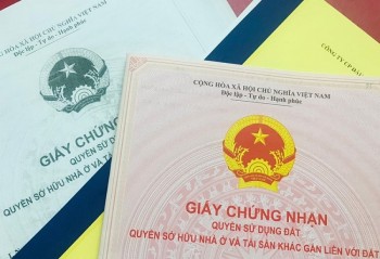 Hà Tĩnh: Đẩy nhanh tiến độ chiến dịch “90 ngày đêm làm giàu, làm sạch cơ sở dữ liệu đất đai”