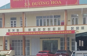 Xã Đường Hoa (Quảng Ninh) sau khi sáp nhập: Diện mạo nông thôn mới khởi sắc