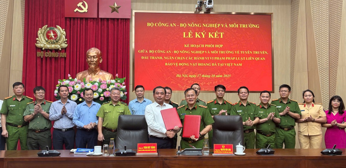 Triển khai Kế hoạch 628: Chiến dịch trọng điểm, cần chú trọng đến công tác truyền thông