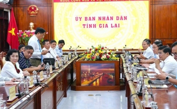 Chủ tịch tỉnh Gia Lai làm việc với Hiệp hội Sắn Việt Nam