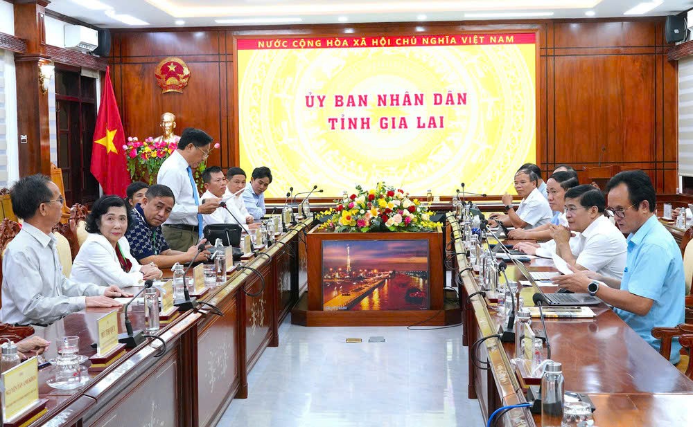 Chủ tịch tỉnh Gia Lai làm việc với Hiệp hội Sắn Việt Nam Chủ tịch tỉnh Gia Lai làm việc với Hiệp hội Sắn Việt Nam