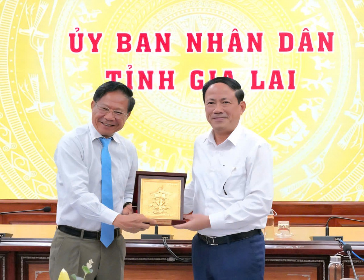 Chủ tịch tỉnh Gia Lai làm việc với Hiệp hội Sắn Việt Nam Chủ tịch tỉnh Gia Lai làm việc với Hiệp hội Sắn Việt Nam