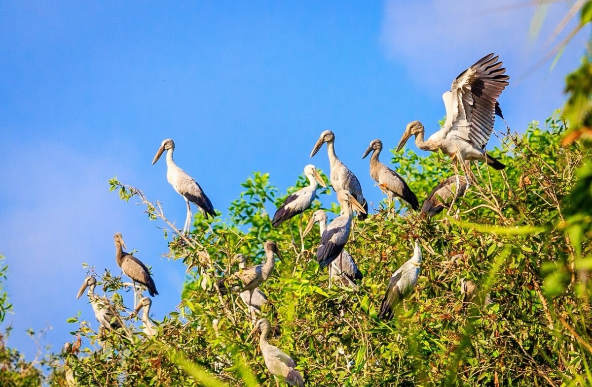 Triển khai Kế hoạch 628: Chiến dịch trọng điểm, cần chú trọng đến công tác truyền thông