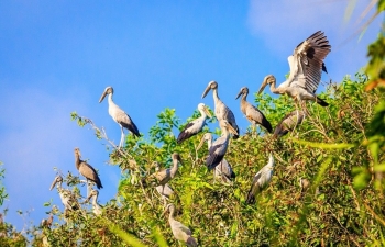 Triển khai Kế hoạch 628: Chiến dịch trọng điểm, cần chú trọng đến công tác truyền thông