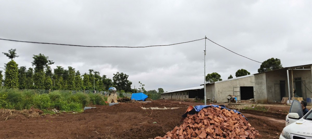 Lâm Đồng: Yêu cầu xử lý nghiêm các hành vi khai thác khoáng sản không phép