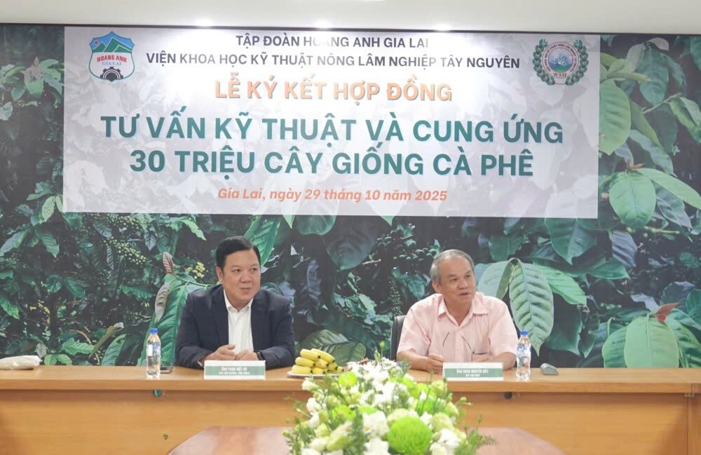 Hoàng Anh Gia Lai đầu tư 10.000 ha cà phê, hướng đến xây dựng thương hiệu xuất khẩu chất lượng cao Hoàng Anh Gia Lai đầu tư 10.000 ha cà phê, hướng đến xây dựng thương hiệu xuất khẩu chất lượng cao