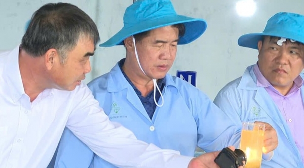 Ông Lê Hữu Tình được tôn vinh “Nhà khoa học của nhà nông” năm 2025