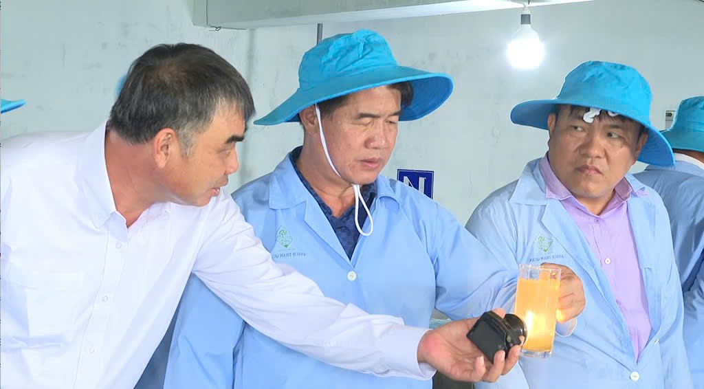 Ông Lê Hữu Tình được tôn vinh “Nhà khoa học của nhà nông” năm 2025 Ông Lê Hữu Tình được tôn vinh “Nhà khoa học của nhà nông” năm 2025