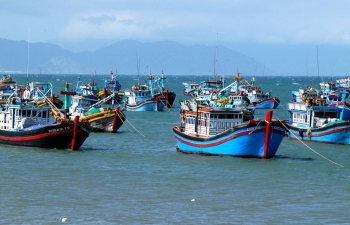 Khi nghề cá bước vào kỷ nguyên số hóa, quyết tâm gỡ “thẻ vàng” IUU