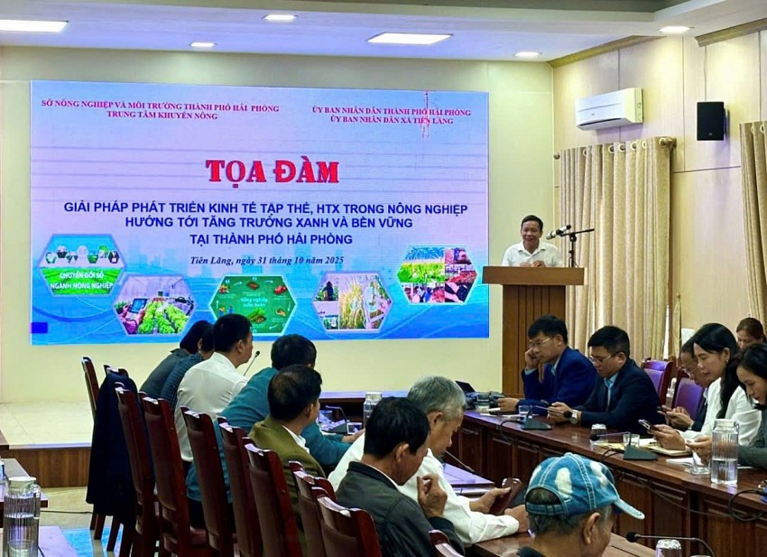 Hải Phòng: Thúc đẩy kinh tế tập thể, HTX nông nghiệp hướng tới tăng trưởng xanh và bền vững Hải Phòng: Thúc đẩy kinh tế tập thể, HTX nông nghiệp hướng tới tăng trưởng xanh và bền vững