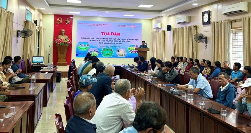 Hải Phòng: Thúc đẩy kinh tế tập thể, HTX nông nghiệp hướng tới tăng trưởng xanh và bền vững Hải Phòng: Thúc đẩy kinh tế tập thể, HTX nông nghiệp hướng tới tăng trưởng xanh và bền vững