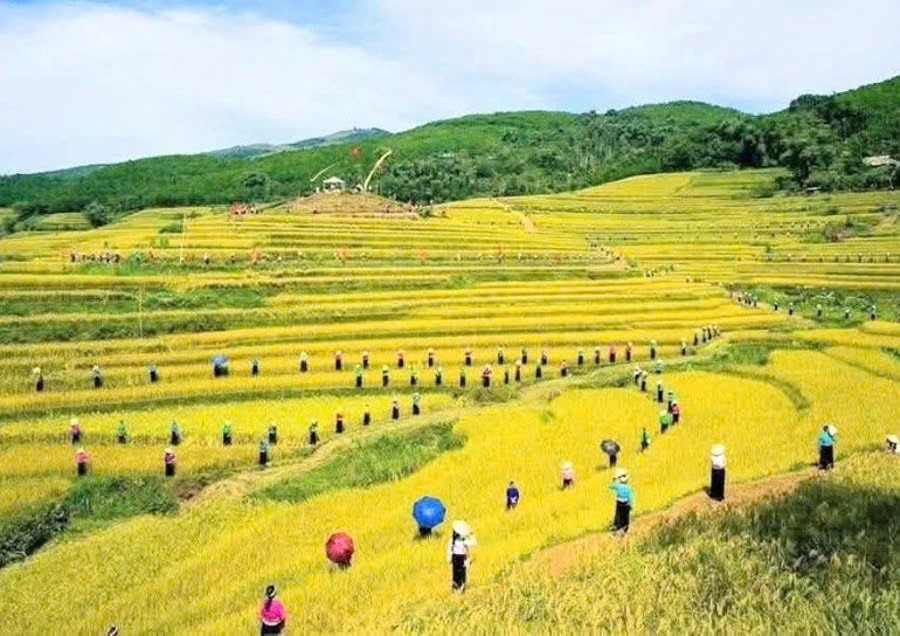 Tôn vinh sắc vàng mùa gặt, lan tỏa bản sắc văn hóa Mường