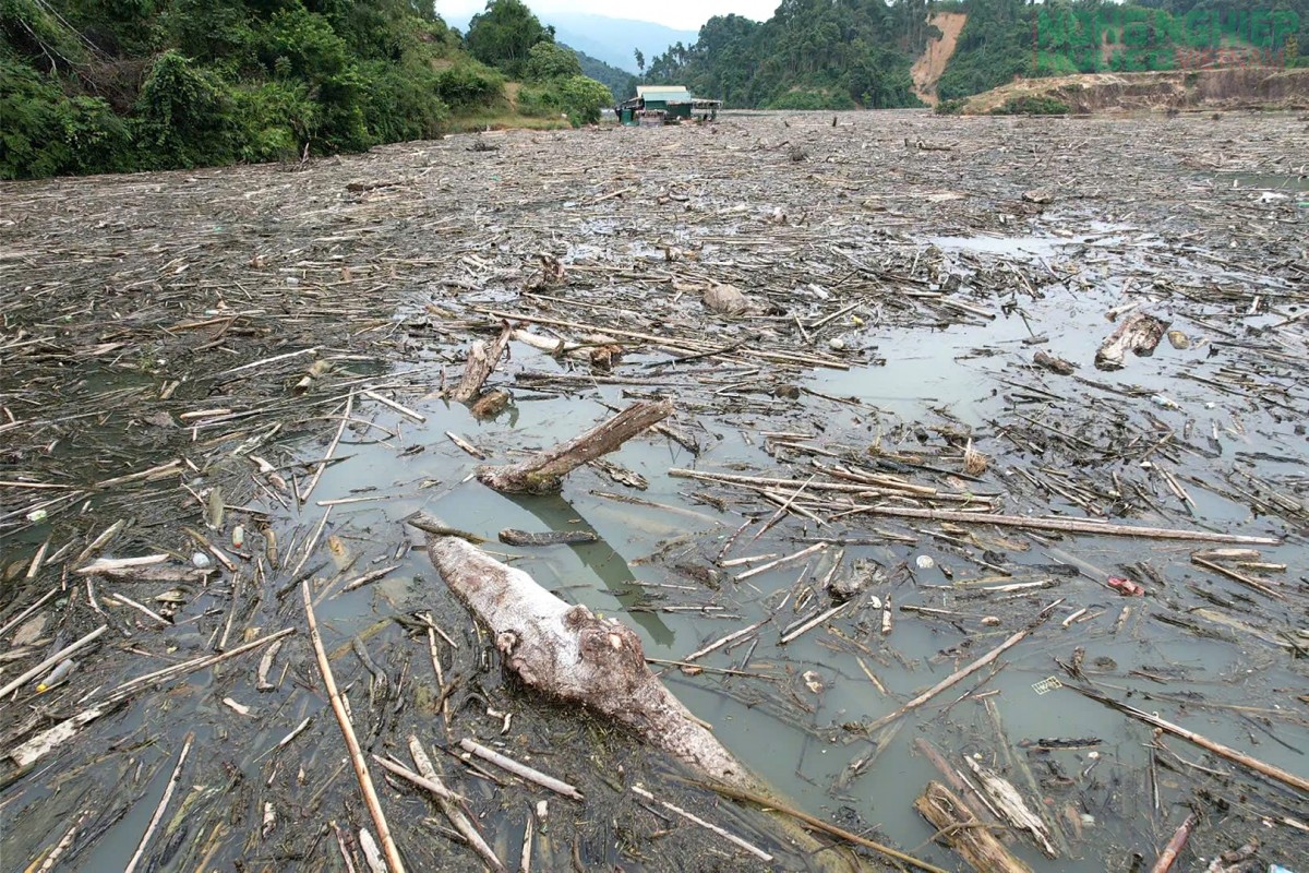 Ngập ngụa cây gỗ, rác thải trên lòng hồ thủy điện ở biên giới Nghệ An