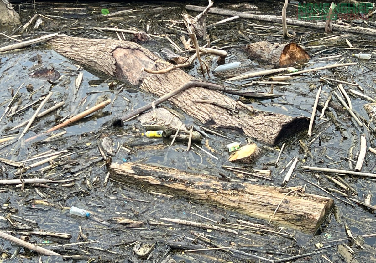 Ngập ngụa cây gỗ, rác thải trên lòng hồ thủy điện ở biên giới Nghệ An