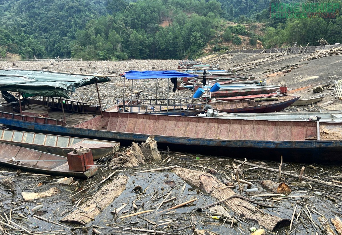 Ngập ngụa cây gỗ, rác thải trên lòng hồ thủy điện ở biên giới Nghệ An