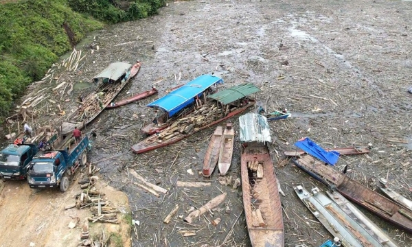 Ngập ngụa cây gỗ, rác thải trên lòng hồ thủy điện ở biên giới Nghệ An