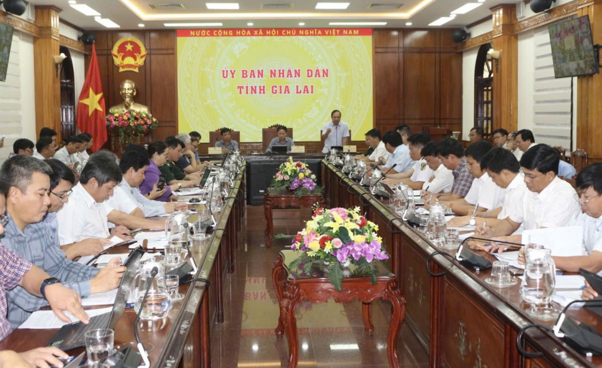 Gia Lai bàn giải pháp quản lý tàu cá không đủ điều kiện hoạt động chống khai thác IUU