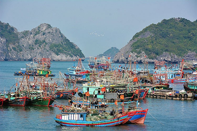 Hải Phòng triển khai tháng cao điểm chống khai thác IUU và phát triển bền vững ngành thủy sản