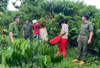 Lâm Đồng tăng cường phối hợp đấu tranh phòng, chống tội phạm, vi phạm pháp luật trong mùa vụ nông sản 2025 – 2026