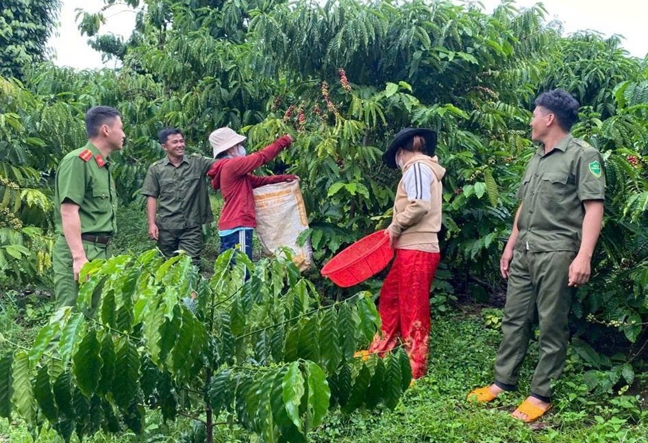 Lâm Đồng tăng cường phối hợp đấu tranh phòng, chống tội phạm, vi phạm pháp luật trong mùa vụ nông sản 2025 – 2026