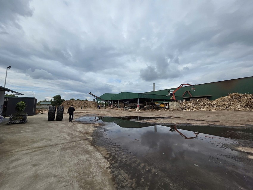 Lào Cai: Một người tử vong do tai nạn lao động tại xưởng sản xuất gỗ