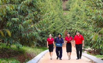 Agribank xanh hóa tín dụng - “Cầu nối” để phát triển năng lượng xanh tại Việt Nam