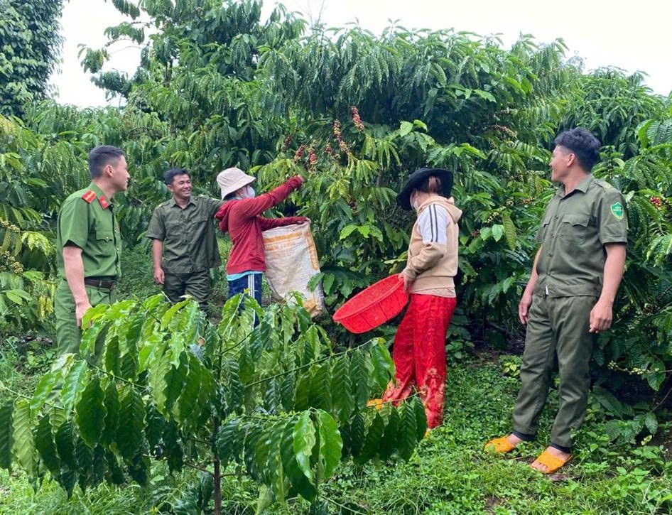 Lâm Đồng tăng cường phối hợp đấu tranh phòng, chống tội phạm, vi phạm pháp luật trong mùa vụ nông sản 2025 – 2026