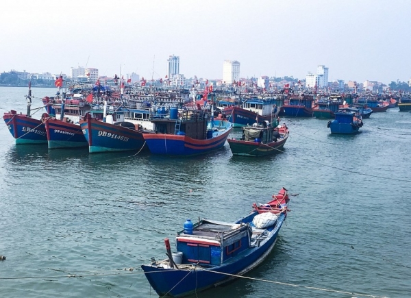 Hải Phòng ra quân tháng cao điểm chống khai thác hải sản bất hợp pháp