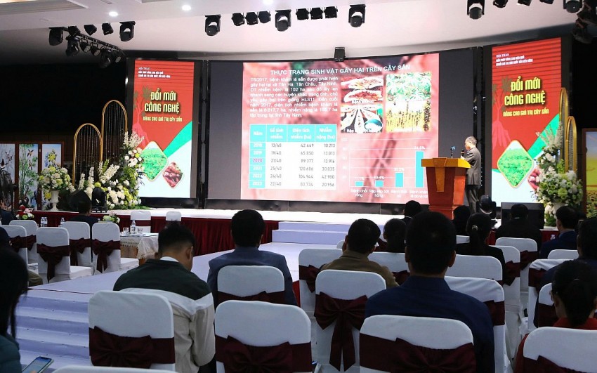 Hội thảo giới thiệu thực trạng một số sinh vật gây hại trên cây sắn đến đại biểu tham dự. 