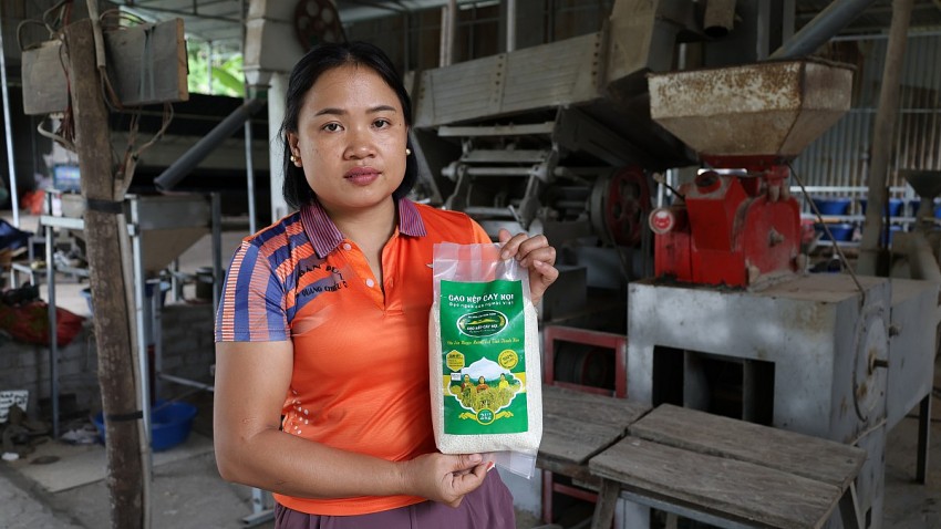 Sau khi sản phẩm lúa nếp Cay Nọi đạt chúng nhận OCOP 3 sao, nhiều khách hàng trên toàn quốc đã biết đến loại gạo đặc sản của người Thái ở xứ Thanh. 