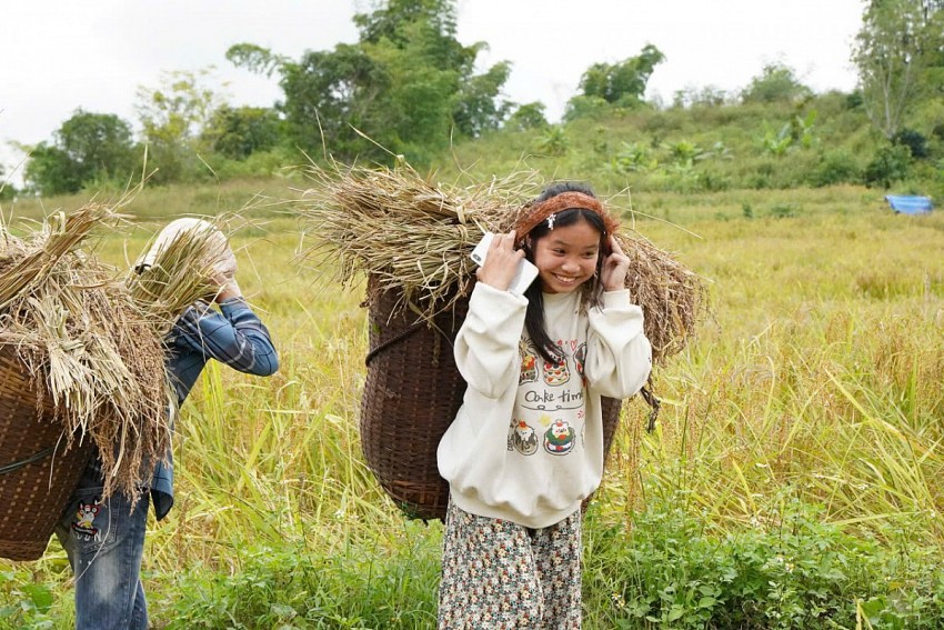 Người dân rộn ràng, phấn khởi vì lúa nếp Cay Nọi năm nay được mùa. 