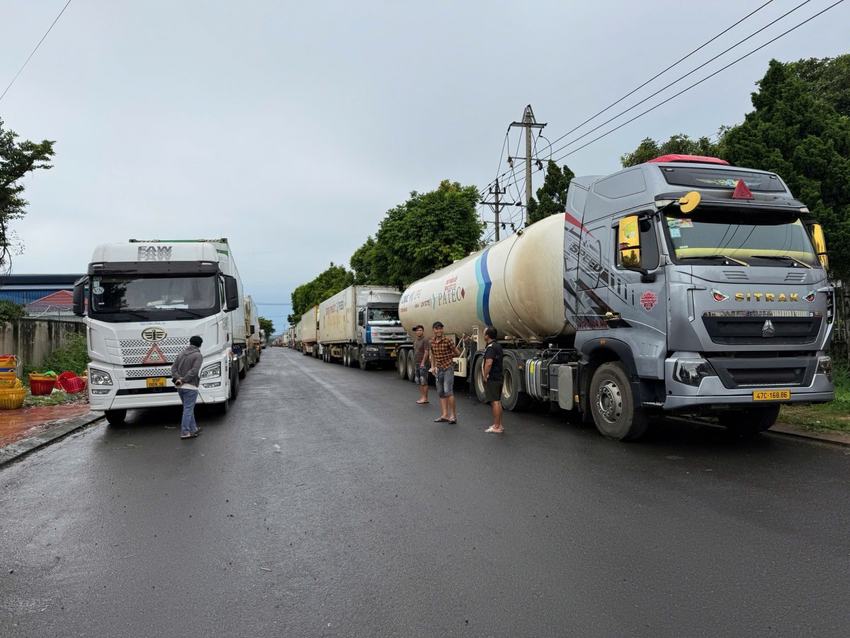 Việc dừng kiểm nghiệm sầu riêng xuất khẩu: Xác định rõ nguyên nhân và trách nhiệm tổ chức, cá nhân Việc dừng kiểm nghiệm sầu riêng xuất khẩu: Xác định rõ nguyên nhân và trách nhiệm tổ chức, cá nhân
