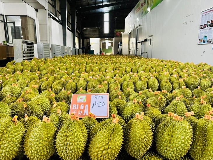 Bộ Công an truy nã đặc biệt nguy hiểm đối với Chủ tịch Công ty NhoNho